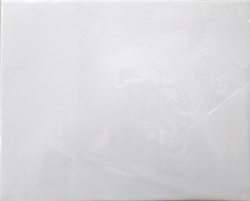 画像1: 20ｘ25　白無地ゼッケン　ぬい付け　５０枚単位 (1)
